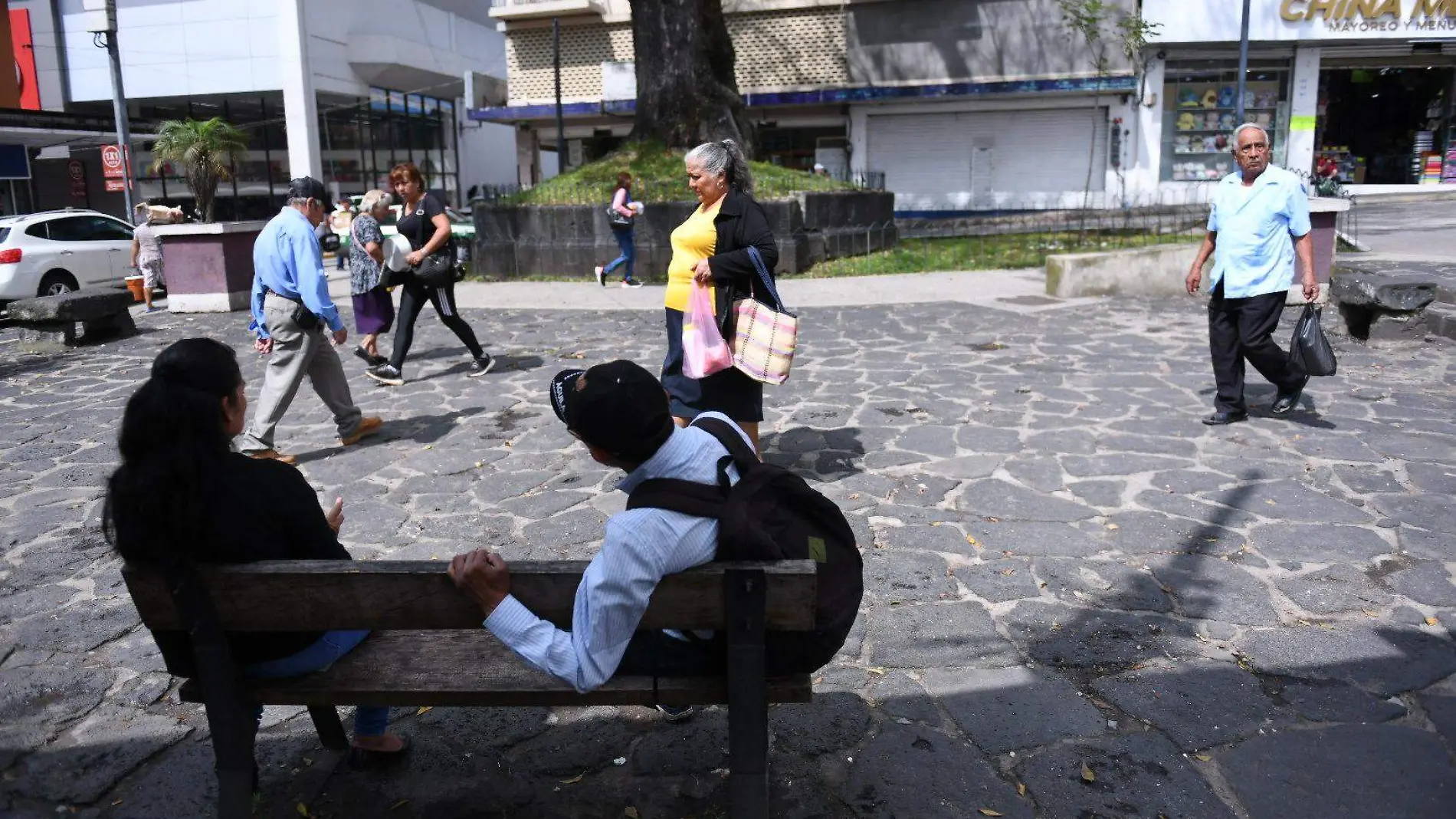 "El Árbol" de la Plazuela del Carbón